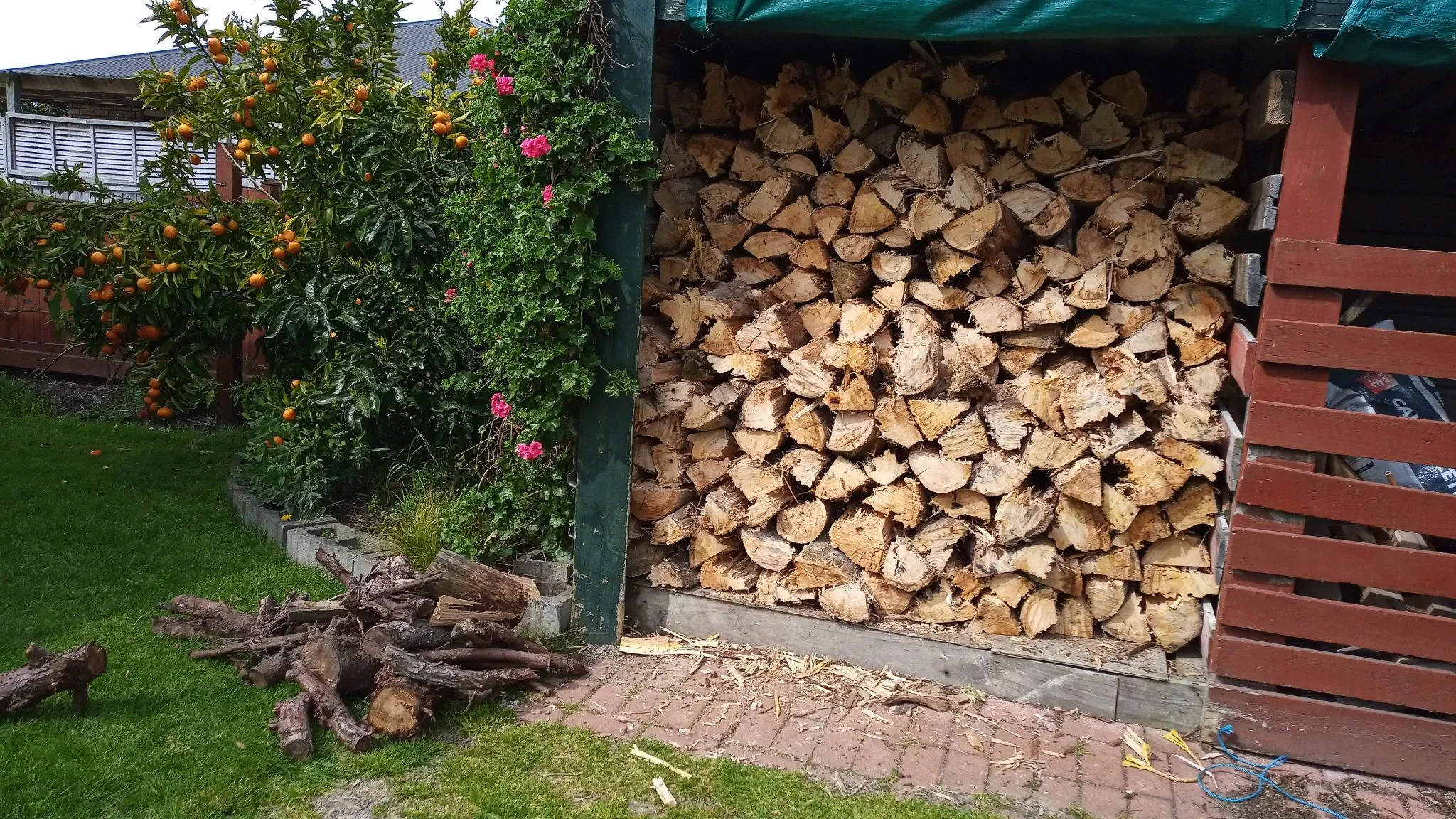 J03 early christmas present from tony n lietta princess st